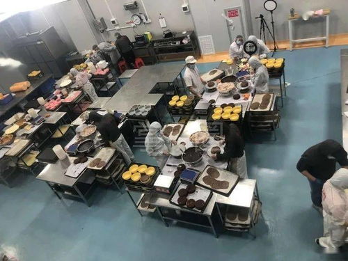 惠東蕉田食品廠 包吃住的觸控產品生產新篇章
